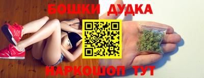 шишки Будённовск