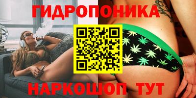 шишки Будённовск