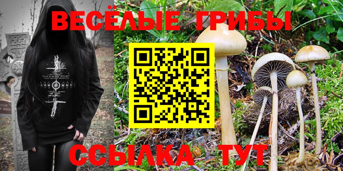 купить   Вход с VPN  Псилоцибиновые грибы Magic Shrooms  Новотроицк  Псилоцибиновые грибы мицелий 